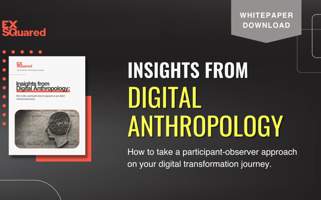 Insights from Digital Anthro Download Page